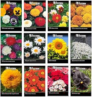 Kit 10 Pacotes de Sementes de Flores Sortidas
