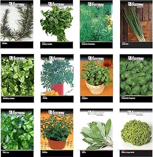 KIT 12 SEMENTES DE TEMPEROS Alecrim Cebolinha Coentro Cominho Hortelã Manjericão Orégano