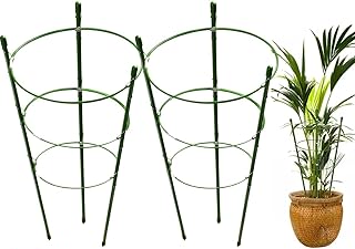 Kit 2 Suporte Para Plantas Tutor Gaiola Treliça de Jardim (75cm)