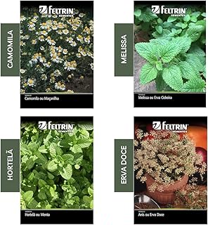 Kit 4 Sementes Chás Horta Em Casa Jardins Vasos