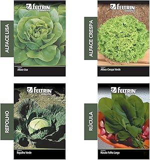 Kit 4 Sementes Hortaliças Salada Horta Em Casa Jardins Vasos