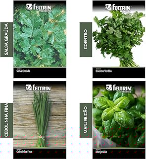 Kit 4 Sementes Tempero Jardim Horta Em Casa