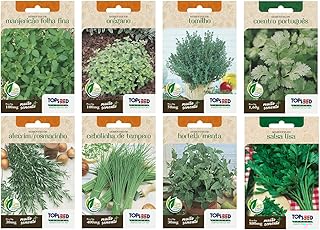 Kit 8 Sementes de Horta Temperos Alecrim Cebolinha Hortela Manjericao Oregano Tomilho Coentro